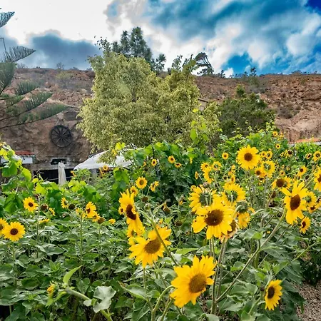 Villa Finca Los Brezos